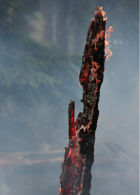 incendio mentrida