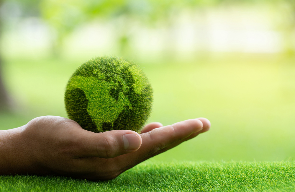 ¿Qué hace única a ALTACIA como consultora ambiental?