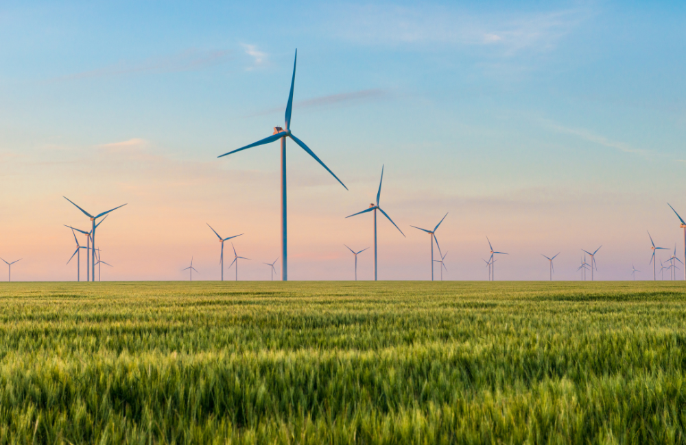 Energías renovables frente a la sequía: soluciones tecnológicas para un verano extremo