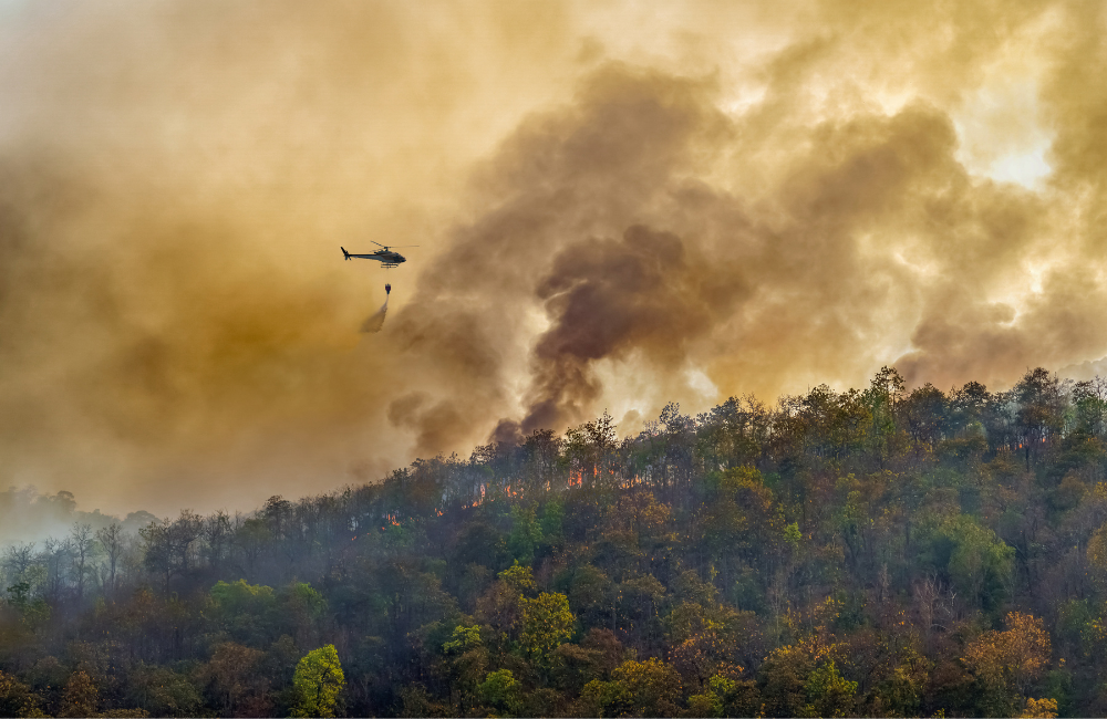 España se enfrenta a 141 riesgos climáticos que afectan a la salud, la economía y la biodiversidad