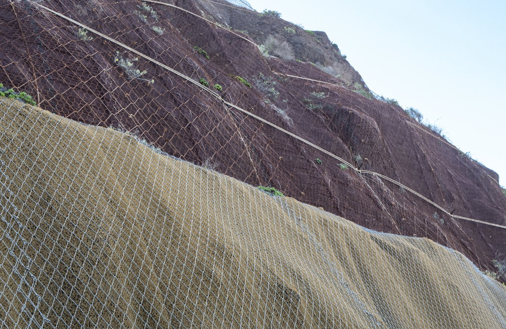 El poder de lo local: las especies autóctonas en la restauración de zonas degradadas por obras