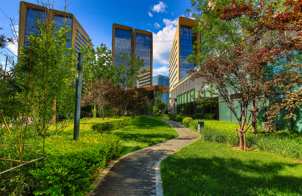 Día Mundial de la Salud: cómo la planificación ambiental influye directamente en el bienestar de las personas